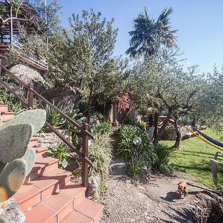 La Fattoria Di Nonna Eugenia Bed and Breakfast Lerici Εξωτερικό φωτογραφία