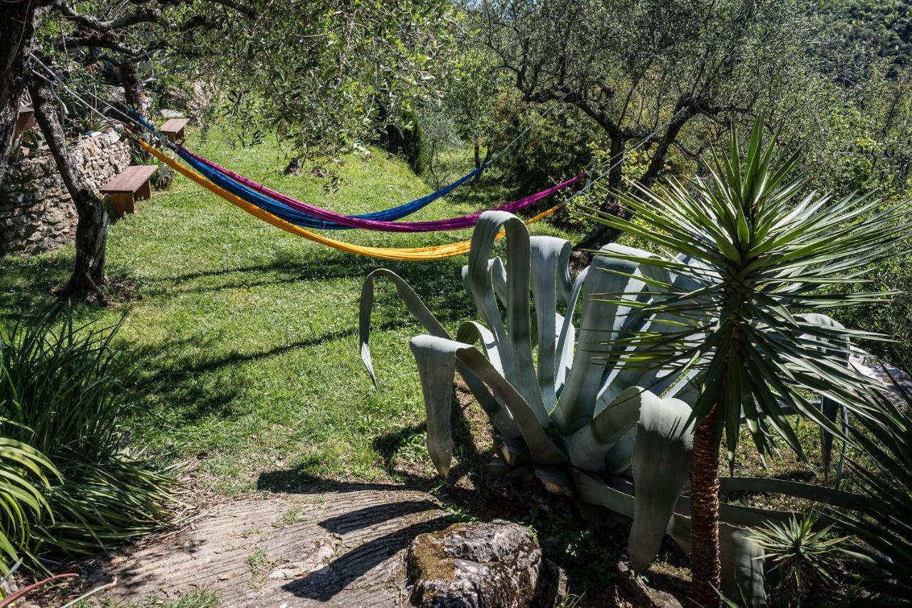 La Fattoria Di Nonna Eugenia Bed and Breakfast Lerici Εξωτερικό φωτογραφία