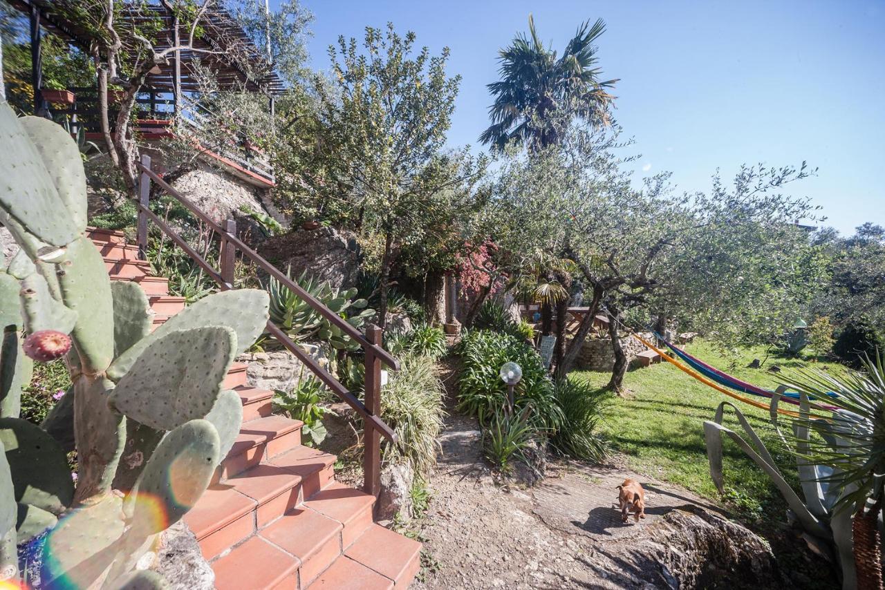 La Fattoria Di Nonna Eugenia Bed and Breakfast Lerici Εξωτερικό φωτογραφία