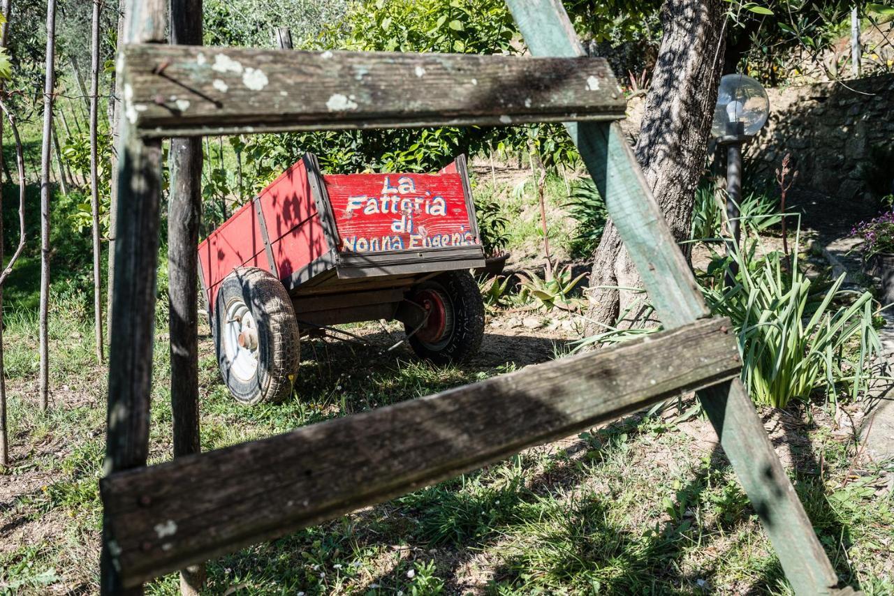 La Fattoria Di Nonna Eugenia Bed and Breakfast Lerici Εξωτερικό φωτογραφία