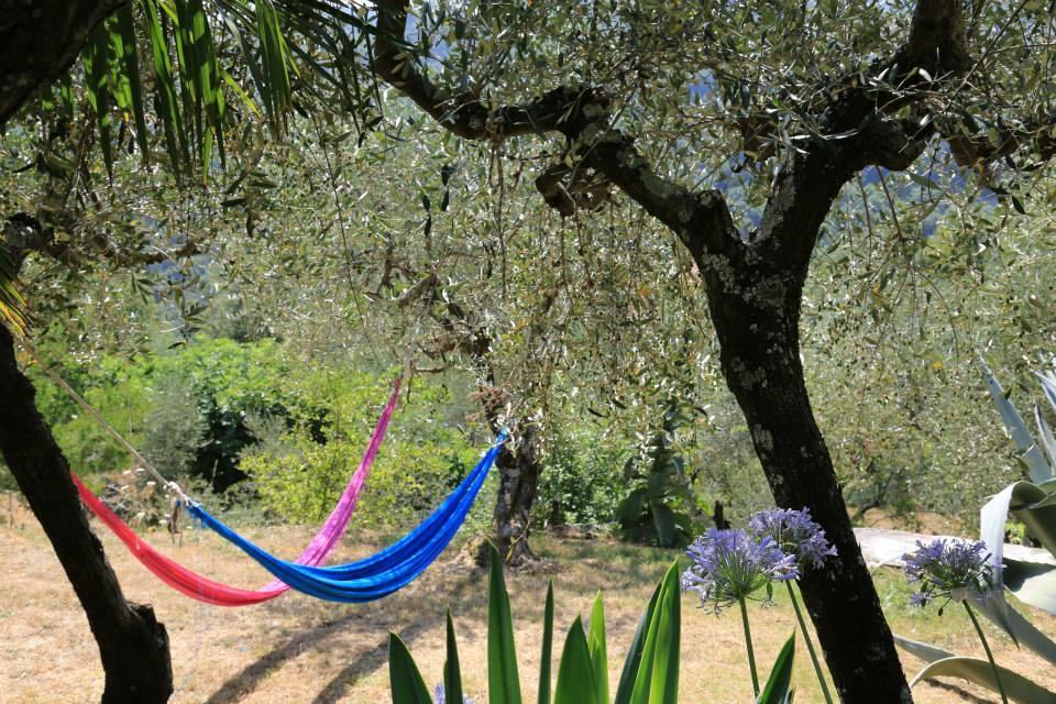 La Fattoria Di Nonna Eugenia Bed and Breakfast Lerici Εξωτερικό φωτογραφία