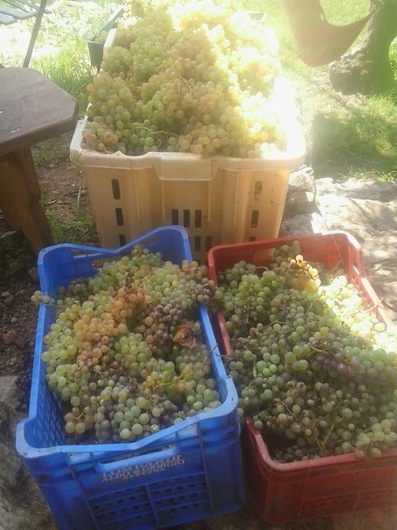 La Fattoria Di Nonna Eugenia Bed and Breakfast Lerici Εξωτερικό φωτογραφία
